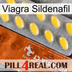 Viagra Sildenafil 42